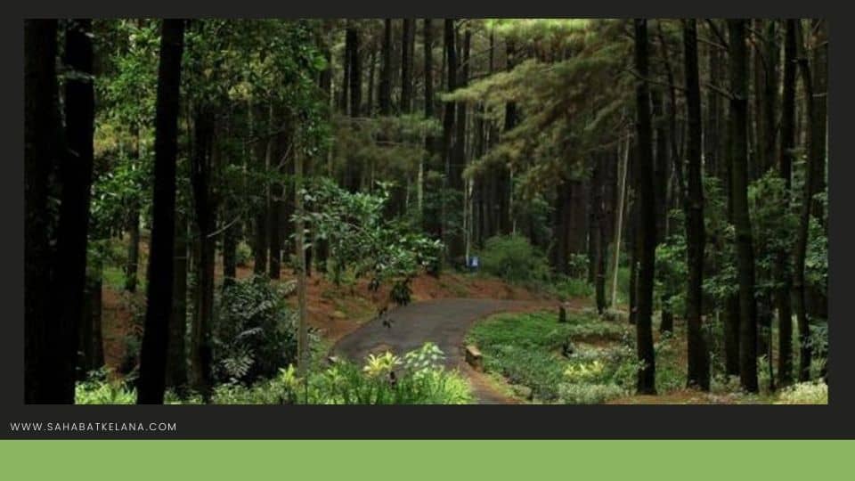 wisata gunung pancar