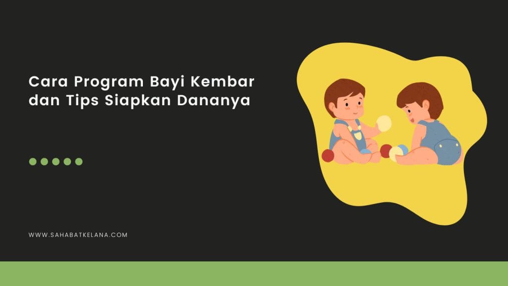 Program Bayi Kembar